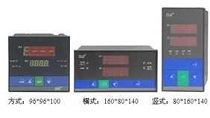 显示调节仪